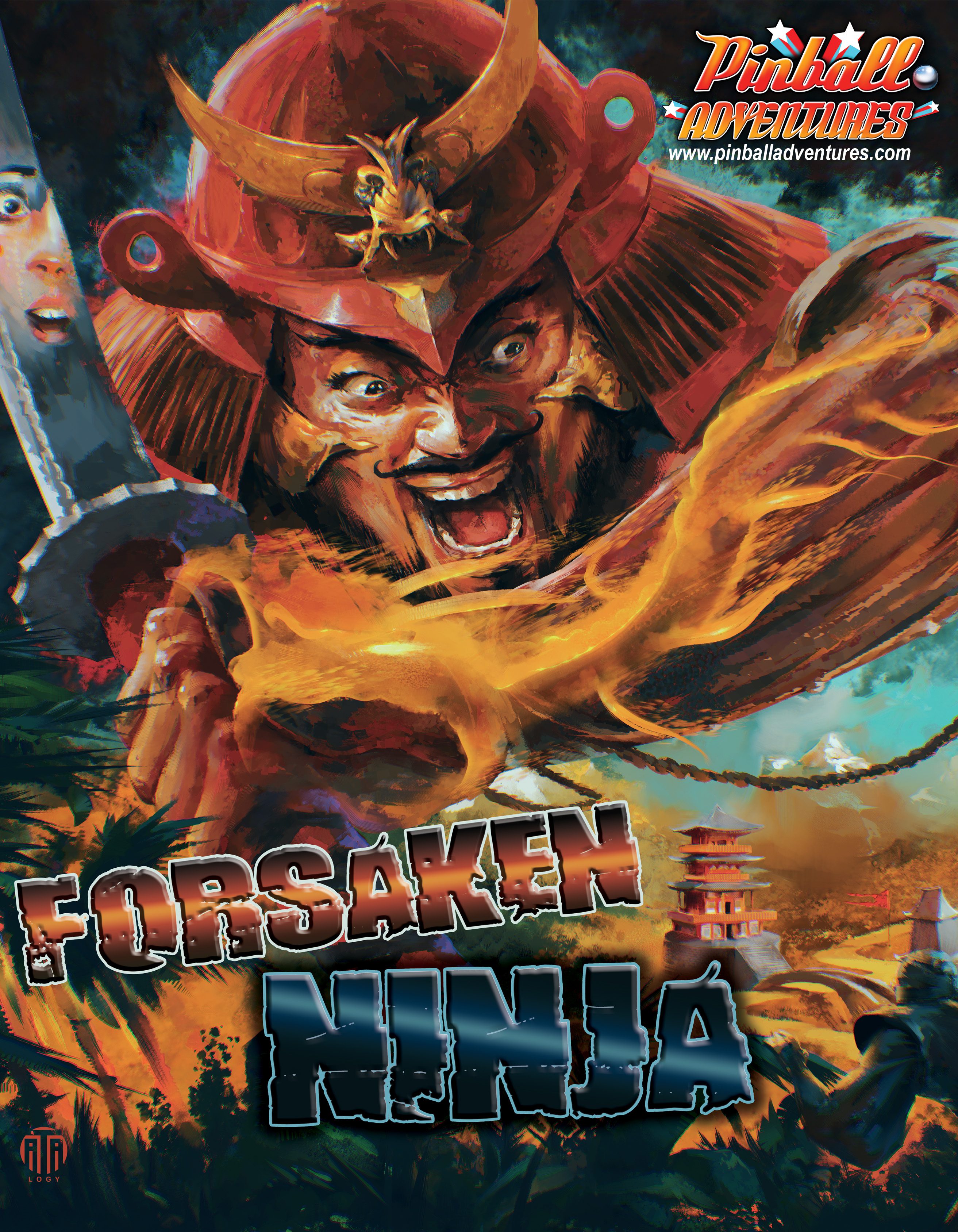 ninja flyer